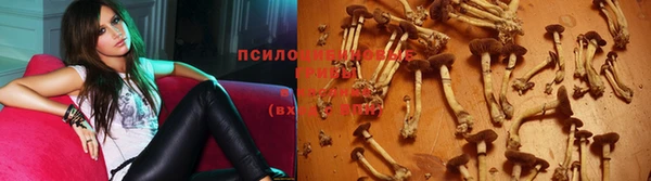 гидропоника Билибино