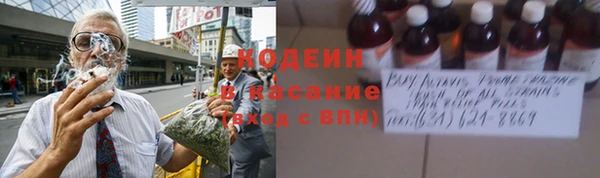 стаф Бикин
