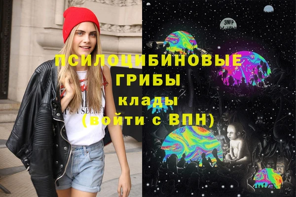 молекула духа Няндома