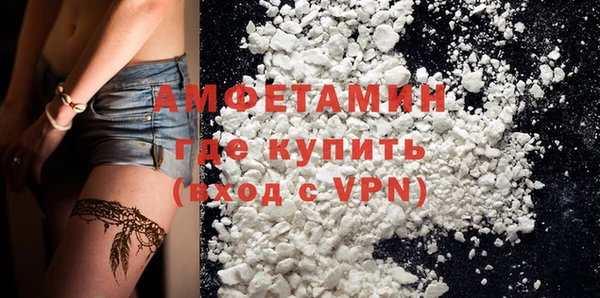 молекула духа Няндома