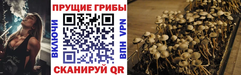 Псилоцибиновые грибы мухоморы  Новое Девяткино 